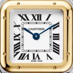 Cartier Panthère Small Two-Tone (YG/Steel) 23×30mm Quartz - Image 4